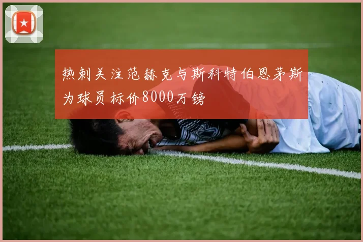 热刺关注范赫克与斯科特伯恩茅斯为球员标价8000万镑
